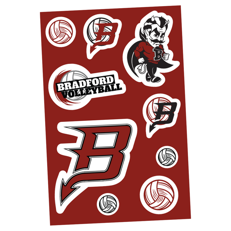 Bradford Volleyball Decals (set of 3 sheets)